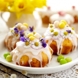 食用花卉 - 常见雏菊 - 白色;草坪雏菊，英国雏菊 - 種子