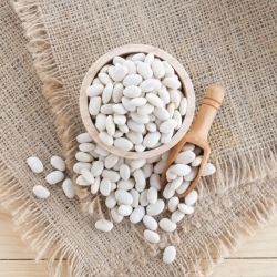 Карликова квасоля "Еврика" - для сухих насіння -  Phaseolus coccineus - Eureka