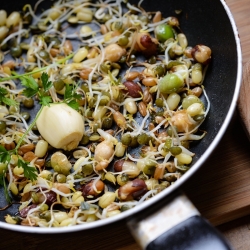 もやしの種 - 炒め物ミックス -  - シーズ