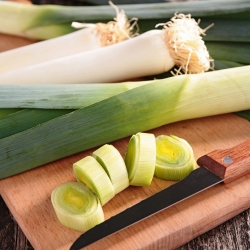 Leek seeds - Allium porrum - 320 seeds