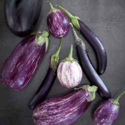 Eggplant, Aubergine - variety mix - 110 seeds