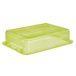 Sveže zelena 7-litrska posoda Cornelia s pokrovom - 