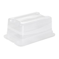 带盖的透明4升Cornelia盒子 - 