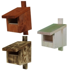 一套三个不同的鸟笼，用于各种颜色的bird，黑鸟，知更鸟和and - 