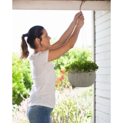 "Cozies M" हैंगिंग प्लांट पॉट - ø 36 सेमी - बैंगनी - 