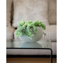 "Cozies M" हैंगिंग प्लांट पॉट - ø 36 सेमी - रेत-बेज - 