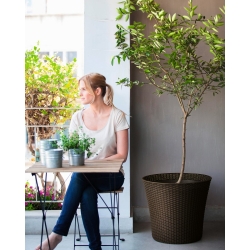 "Conic"원형 화분-ø 54 cm-갈색 - 