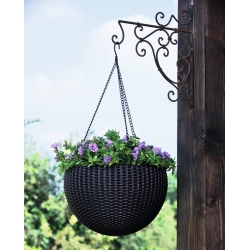 등나무 거는 식물 남비-ø 35 cm-무연탄 회색 - 