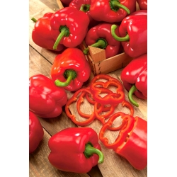 Pepper "Trapez" - red variety producing large fruit
