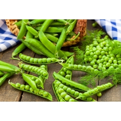 Field pea "Cud Kelvedonu (Wonder of Kelvedon)" - 500 g