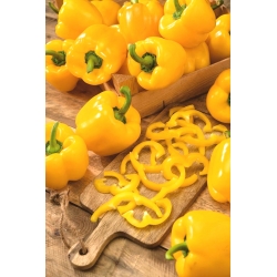 Насіння солодкого перцю "Marta Polka" - Capsicum annuum - 80 насінин - Capsicum L. - насіння