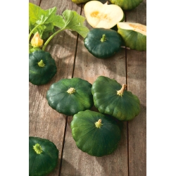 Graines de Patisson - Cucurbita pepo - 75 graines - Cucurbita pepo var. Patisoniana