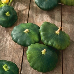 Graines de Patisson - Cucurbita pepo - 75 graines - Cucurbita pepo var. Patisoniana