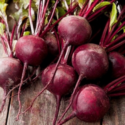 Παντζάρια "Astar" - ιδανικό για χυμούς και συμπυκνώματα - 500 σπόρους - Beta vulgaris - σπόροι