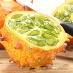 Kiwano, Horned Melon Samen - Cucumis metuliferus - 30 Samen - 