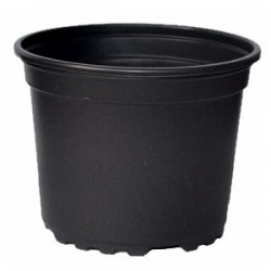 أواني حضانة مستديرة - 9 × 7 سم - 20 قطعة - 