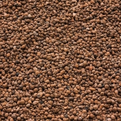 Agrégat d'argile expansé - couche de drainage pour plantes en pot - 2 litres - 