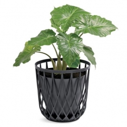 Multi-purpose bin - seat UNIQUBO - 55 litres - anthracite grey