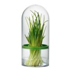 Urteopbevaringsbeholder - SENSE - 