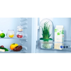 Urteopbevaringsbeholder - SENSE - 