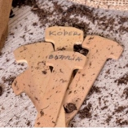 Umweltfreundliche Pflanzenetiketten aus Holz - 5 Stück - 