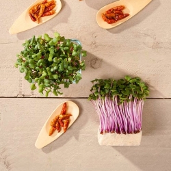 Microgreens - Mizuna mix - foglie giovani dal sapore unico e fresco - 