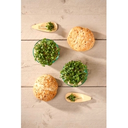 Microgreens - Rutabaga, svedese - foglie giovani dal sapore unico - 250 grammi - 