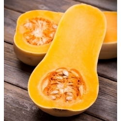 Calabaza moscada Butternut - 16 semillas