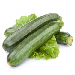 Zucchini Soraya Samen - Cucurbita pepo - 20 Samen - 