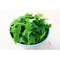 Mizuna, semillas de mostaza japonesa - Brassica rapa nipposinica - 1000 semillas - Brassica rapa var. Japonica