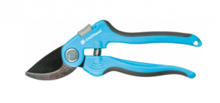 البراغيث المثالية - سيلفاست - 