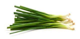 7年玉ねぎ「ウィタ」 -  1つの場所で4年でも -  500種子 - Allium fistulosum  - シーズ