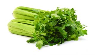 الكرفس "الملكيت" - سمين ، أوراق سميكة - 360 بذور - Apium graveolens - ابذرة