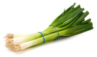 7年玉ねぎ「ウィタ」 -  1つの場所で4年でも -  500種子 - Allium fistulosum  - シーズ