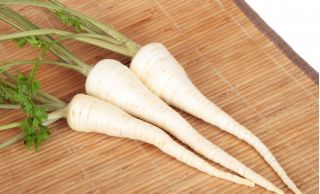 Prezzemolo - Olomoucka - 4250 semi - Petroselinum crispum