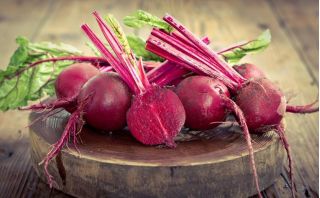 Củ cải đường "Quả bóng đỏ" - TAPE SEED - Beta vulgaris var. Conditiva - hạt