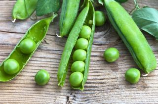 Shelling hrachu "Izolda" - středně brzy -  Pisum sativum - Izolda - semena