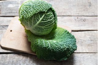 Cavolo verza - Vertus 2 - 640 semi - Brassica oleracea var. sabauda