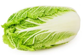 Napakål - Capitol - 86 frø - Brassica pekinensis Rupr.