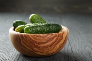 오이 "마르쿠스"- 쓴 맛의 암시 - 105 씨앗 - Cucumis sativus