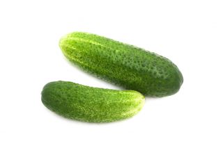 Kumara "Junak" - 105 semen - Cucumis sativus - semena