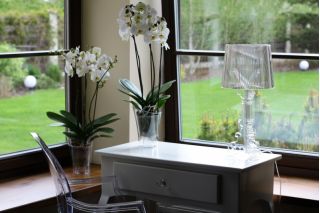 Orchidėjų vazonas - Venera - 14,6 cm - Bespalvis - 