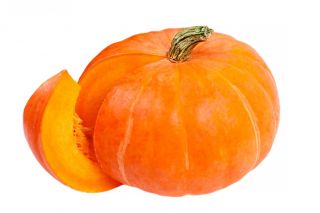 巨大カボチャ「アマゾンカ」 -  21種 - Cucurbita maxima  - シーズ