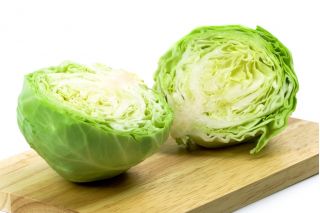 Galviņkāposti - Ditmarska - balts - 480 sēklas - Brassica oleracea convar. capitata var. alba