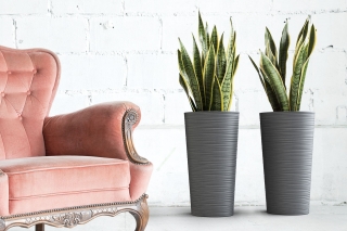 「リリア」トールラウンドポット-19 cm-輪郭が描かれたグラファイトグレーメタリック - 