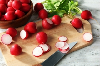 大根「サクサポラナ」-コーティング種子 - 