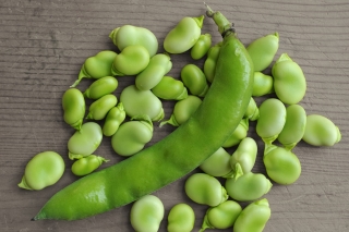 Broad bean "Bizon" - 1 kg
