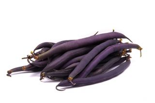 Фасо́ль обыкнове́нная - Amethyst - Phaseolus vulgaris L. - семена