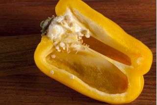 コショウ「オリビア」 -  65種子 - Capsicum L. - シーズ