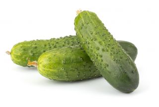خيار "بولكو" - للمخللات - 175 بذرة - Cucumis sativus - ابذرة